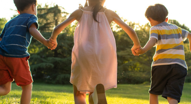 Notre rapport d’activité 2025 est disponible !